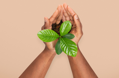 sustainable-impact-img
