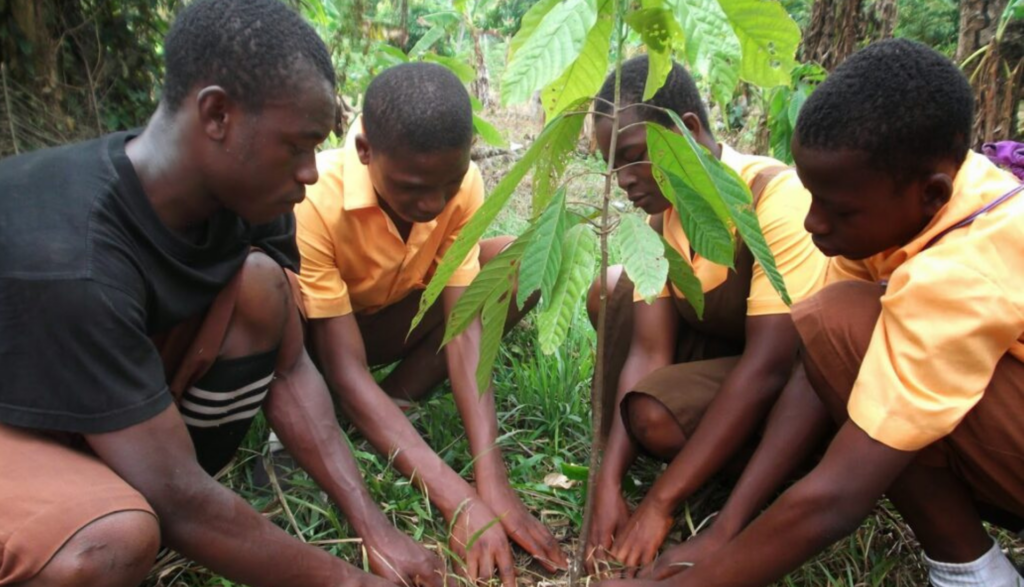 environmental-projects-img