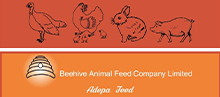 Logoforfooter